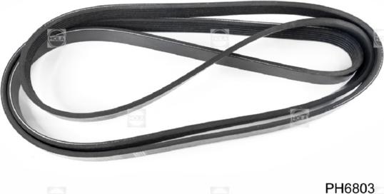 Hola PH6803 - Curea transmisie cu caneluri aaoparts.ro