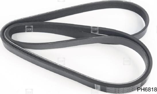 Hola PH6818 - Curea transmisie cu caneluri aaoparts.ro