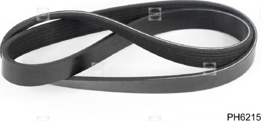 Hola PH6215 - Curea transmisie cu caneluri aaoparts.ro
