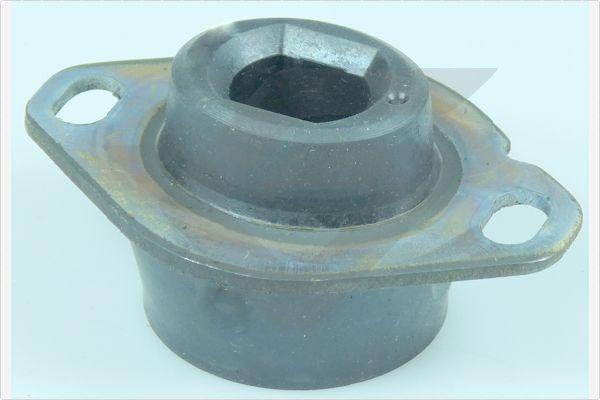 Hutchinson 594603 - Suport, transmisie manuala aaoparts.ro