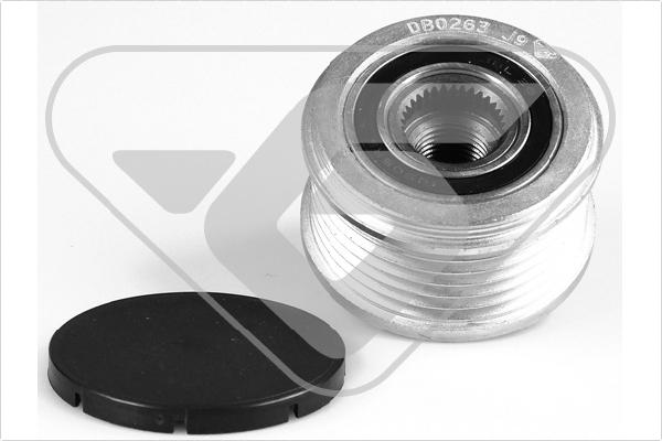 Hutchinson DB0263 - Fulie, alternator aaoparts.ro
