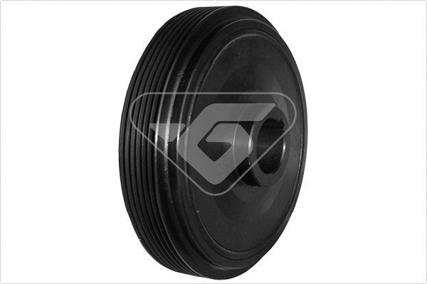 Hutchinson DP006 - Fulie curea, arbore cotit aaoparts.ro