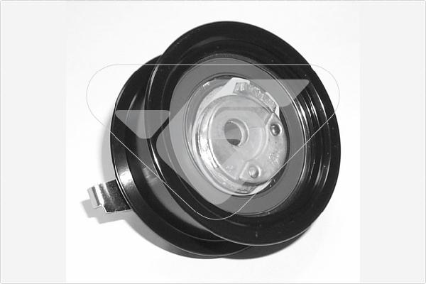 Hutchinson HTG 107 - Rola intinzator,curea distributie aaoparts.ro