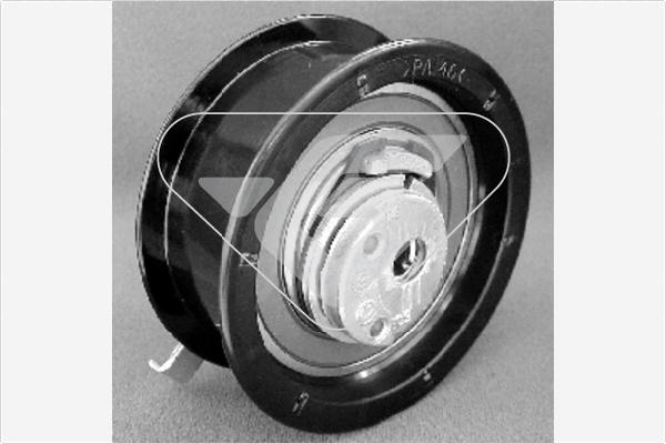 Hutchinson HTG 72 - Rola intinzator,curea distributie aaoparts.ro