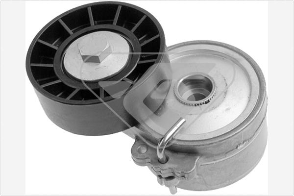 Hutchinson T0306 - Rola ghidare / conducere, curea transmisie aaoparts.ro