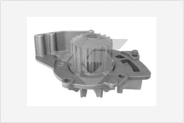 Hutchinson WP60 - Pompa apa aaoparts.ro