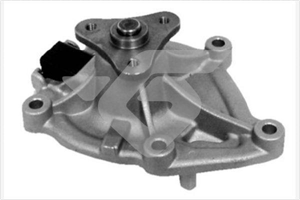 Hutchinson WP113 - Pompa apa aaoparts.ro