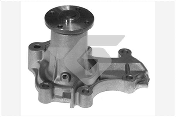 Hutchinson WP302 - Pompa apa aaoparts.ro