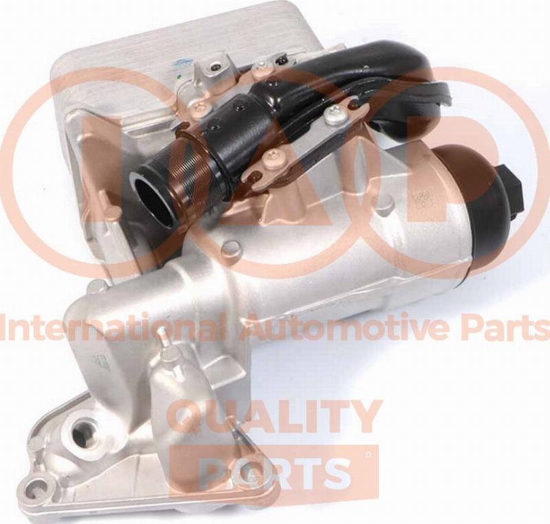 IAP QUALITY PARTS 159-13220C - Radiator ulei, ulei motor aaoparts.ro
