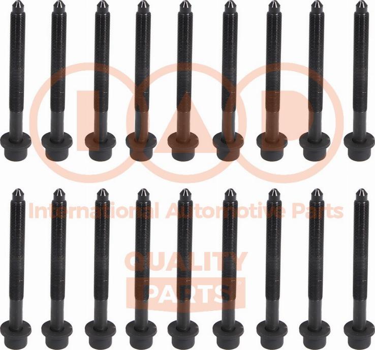 IAP QUALITY PARTS 119-13149 - Set surub, chiulasa aaoparts.ro