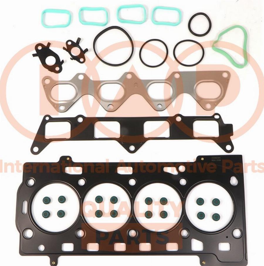IAP QUALITY PARTS 116-50043 - Set garnituri, chiulasa aaoparts.ro