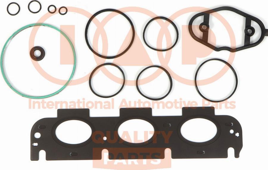 IAP QUALITY PARTS 116-51006 - Set garnituri, chiulasa aaoparts.ro
