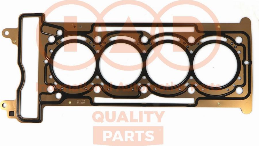 IAP QUALITY PARTS 118-54021 - Garnitura, chiulasa aaoparts.ro