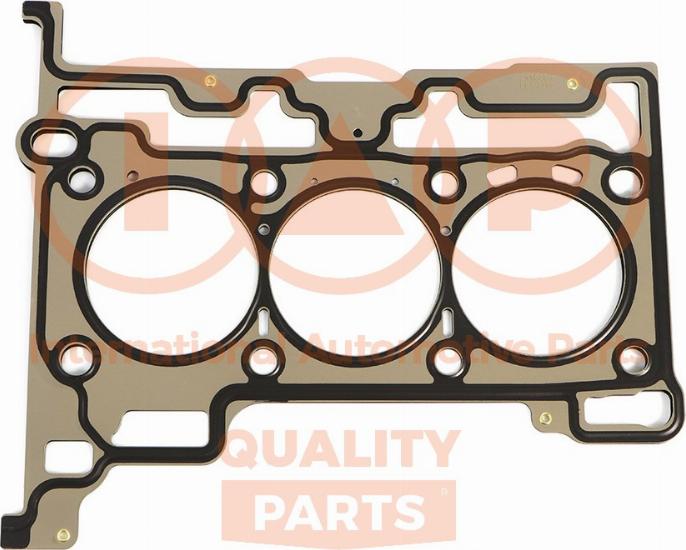 IAP QUALITY PARTS 118-04050 - Garnitura, chiulasa aaoparts.ro