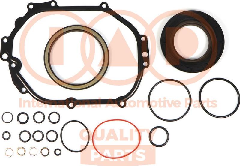 IAP QUALITY PARTS 117-14090 - Set garnituri, carter aaoparts.ro