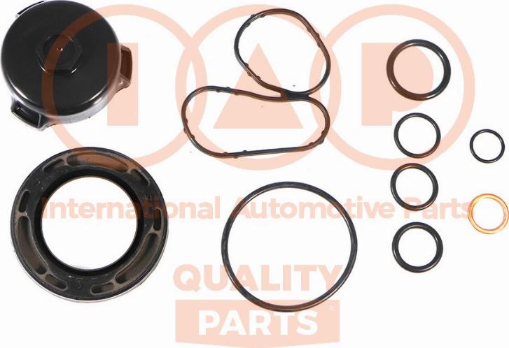 IAP QUALITY PARTS 117-13220 - Set garnituri, carter aaoparts.ro