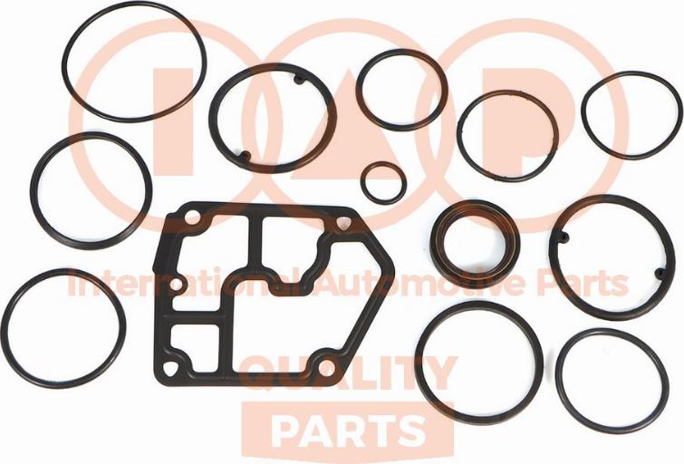 IAP QUALITY PARTS 117-12055 - Set garnituri, carter aaoparts.ro