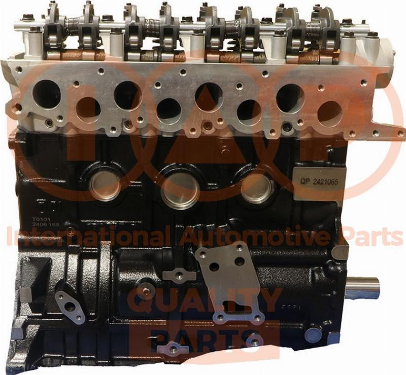 IAP QUALITY PARTS 131-12021C - Motor,excluzand accesoriile aaoparts.ro