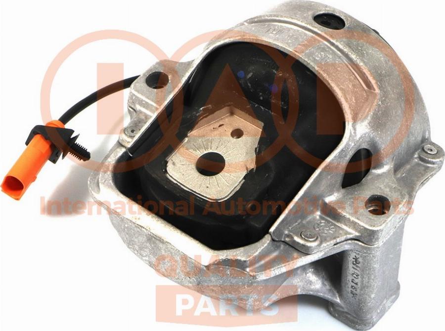 IAP QUALITY PARTS 138-50061 - Suport motor aaoparts.ro