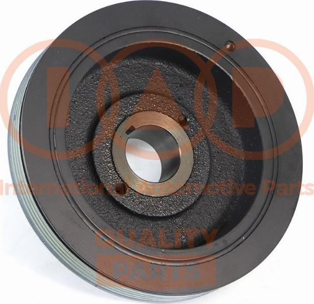 IAP QUALITY PARTS 132-08031 - Fulie curea, arbore cotit aaoparts.ro