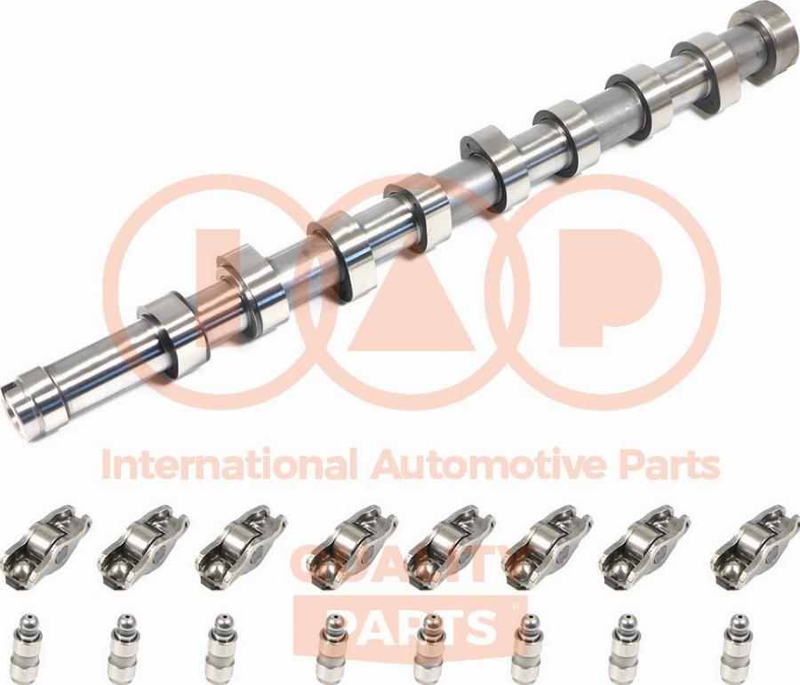 IAP QUALITY PARTS 124-11080K - Ax cu came aaoparts.ro