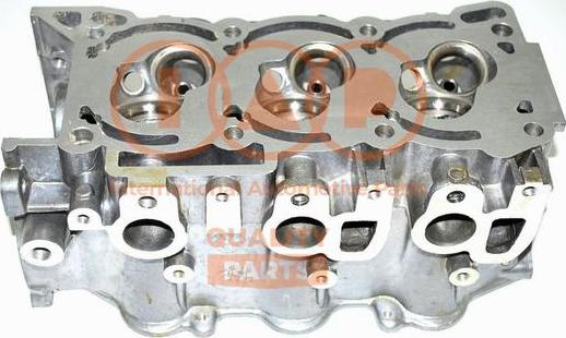 IAP QUALITY PARTS 120-03040E - Chiulasa aaoparts.ro