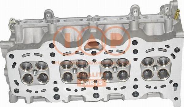 IAP QUALITY PARTS 120-16100 - Chiulasa aaoparts.ro