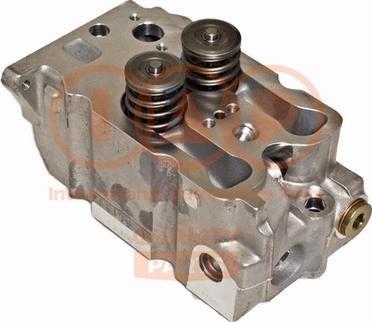 IAP QUALITY PARTS 120-10041P - Chiulasa aaoparts.ro