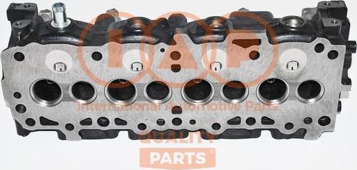 IAP QUALITY PARTS 120-13055 - Chiulasa aaoparts.ro