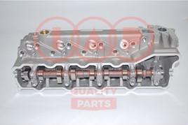 IAP QUALITY PARTS 120-12026C - Chiulasa aaoparts.ro