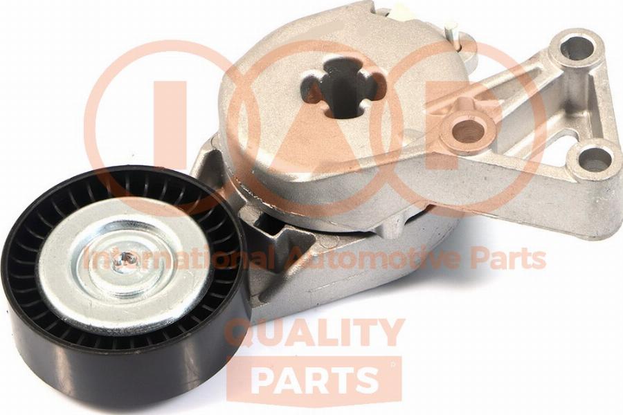IAP QUALITY PARTS 127-50064 - Rola ghidare / conducere, curea transmisie aaoparts.ro
