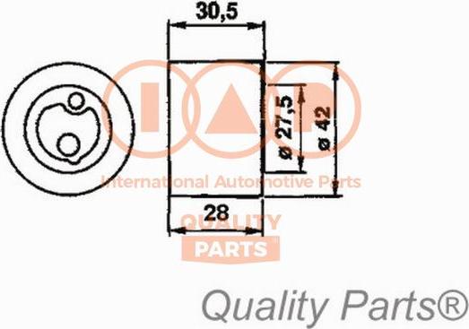 IAP QUALITY PARTS 12716061 - Rola intinzator,curea distributie aaoparts.ro