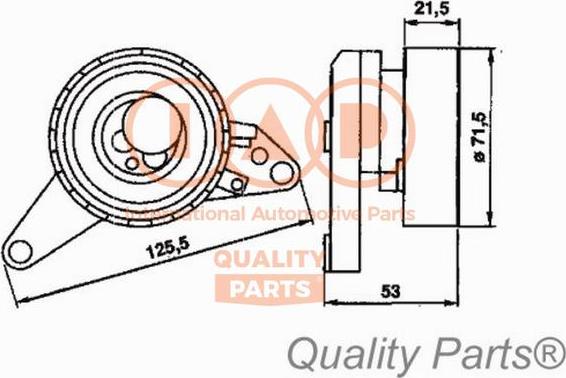 IAP QUALITY PARTS 127-20010 - Rola intinzator,curea distributie aaoparts.ro