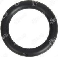 Ibras 19699 - Garnitura, galerie admisie aaoparts.ro