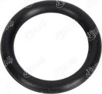 Ibras 19700 - Garnitura, galerie admisie aaoparts.ro