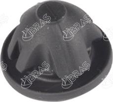 Ibras 35042 - Surub, capac supape aaoparts.ro