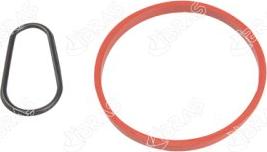 Ibras 20068 - Garnitura, pompa vacuum aaoparts.ro