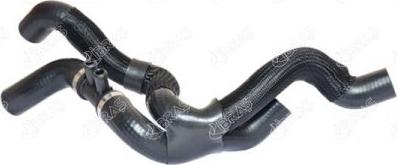 Ibras 27674 - Furtun radiator aaoparts.ro