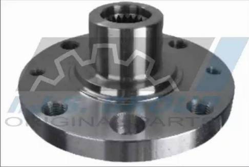 IJS GROUP 10-1004 - Butuc roata aaoparts.ro