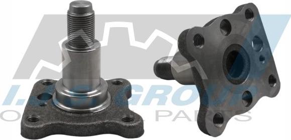 IJS GROUP 10-2034 - Butuc roata aaoparts.ro