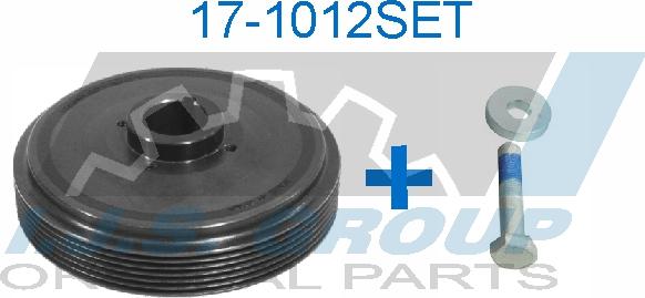 IJS GROUP 17-1012SET - Fulie curea, arbore cotit aaoparts.ro