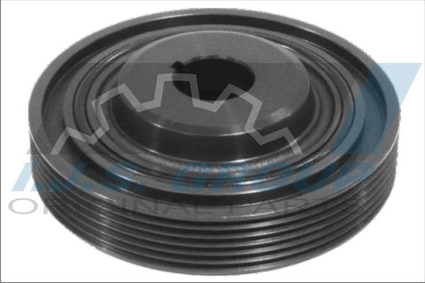 IJS GROUP 17-1026 - Fulie curea, arbore cotit aaoparts.ro