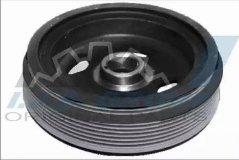 IJS GROUP 17-1122 - Fulie curea, arbore cotit aaoparts.ro