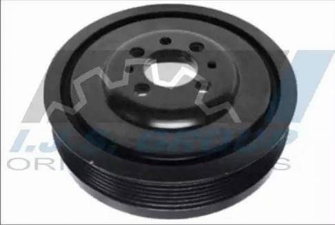 IJS GROUP 17-1206 - Fulie curea, arbore cotit aaoparts.ro