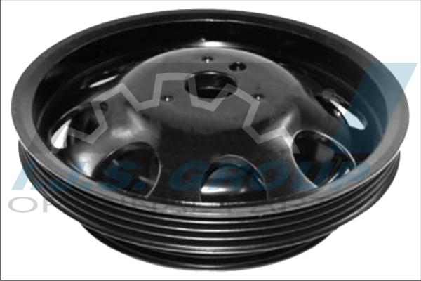 IJS GROUP 17-1202 - Fulie curea, arbore cotit aaoparts.ro