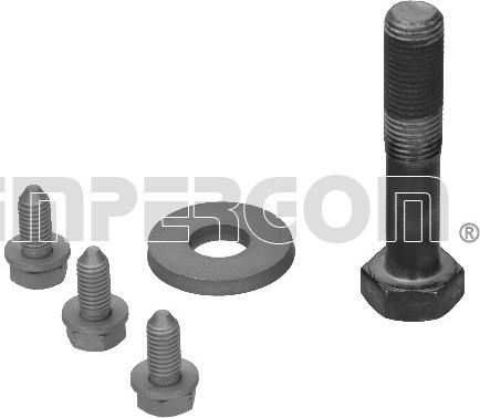 IMPERGOM 41040 - Set surub, disc curea-arbore cotit aaoparts.ro