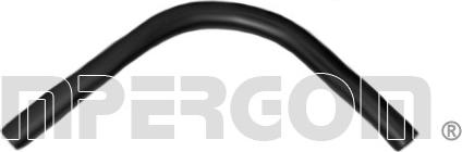 IMPERGOM 17604 - Furtun ulei aaoparts.ro