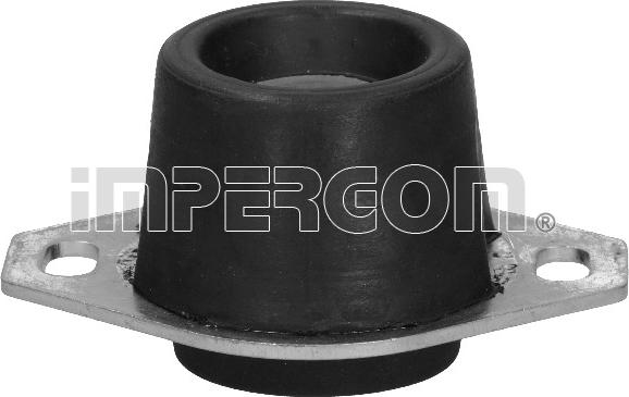 IMPERGOM 36244 - Suport motor aaoparts.ro