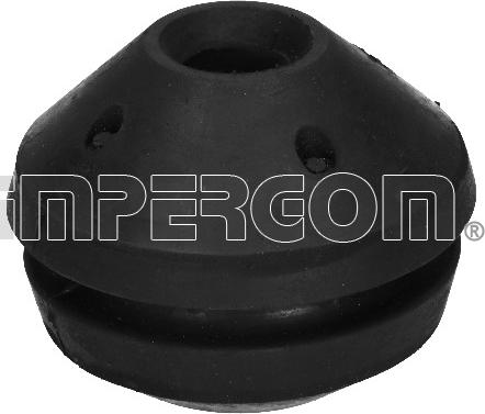 IMPERGOM 30209 - Suport motor aaoparts.ro