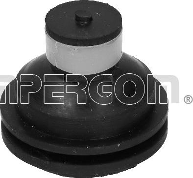 IMPERGOM 31651 - Suport motor aaoparts.ro